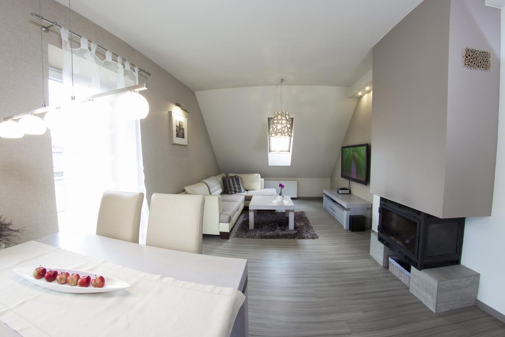 Modern Apartment Oswiecim Oda fotoğraf